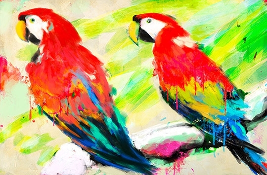 Animal prints on canvas for your walls | High quality printing